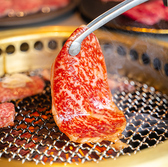 焼肉 焼武者のおすすめ料理2