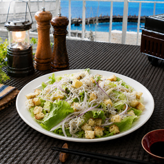 釡揚げしらすと地場野菜のシーザーサラダ