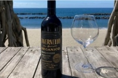 タヴェルネッロオルガニコベッロ サンジョヴェーゼ