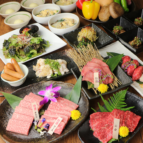 飲み会・１番人気【竹コース】特選ロース・和牛炙り肉寿司等12品《お料理のみ》6500円