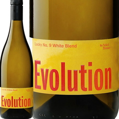 ソーコル・ブロッサー エヴォリューション ホワイト Full 