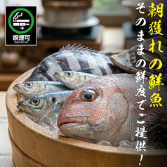 隠居亭 新宿店のおすすめ料理1