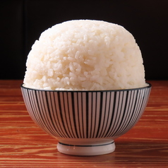 ごはん　大