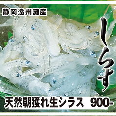 天然朝獲れ生しらす【静岡遠州灘産シラス】