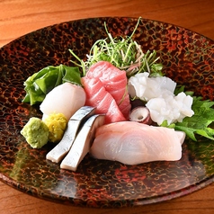 【産地直送】こだわりの【魚】集めました