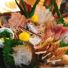 魚河岸鮮魚5点盛り
