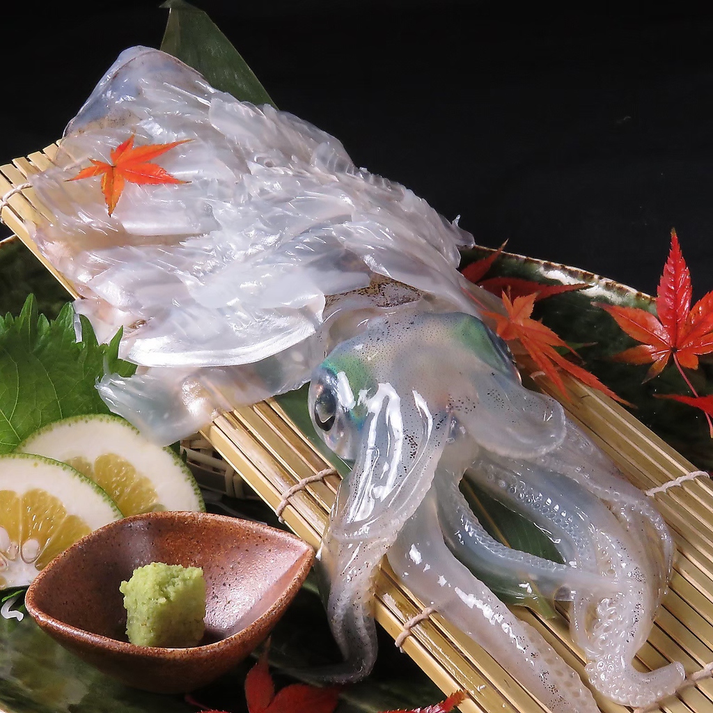 もつ鍋 居酒屋 博多駅 博多 飲み放題 鍋 魚 送別会 歓迎会 馬刺し 呼子イカ 五島サバ