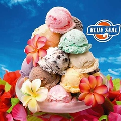 BLUE SEAL アイスクリーム 美ら ブルーシール レギュラーフレーバー 10種