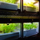LED光、酸素、温度、栄養水、等　全自動で管理するシステムを使用し栽培した野菜を、たっぷりサラダで提供しています。