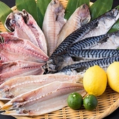 【～漁港直送の新鮮な鮮魚をご用意しております～】