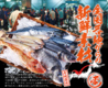魚 駅前 サンキタ総本店のおすすめポイント1
