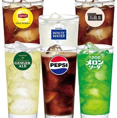 ペプシコーラ/ジンジャーエール/ホワイトウォーター/メロンソーダ/パインジュース