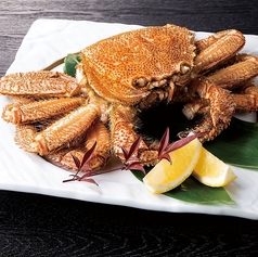 活毛蟹　姿盛り