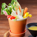 料理メニュー写真&nbsp;鉢植え野菜のバーニャカウダ