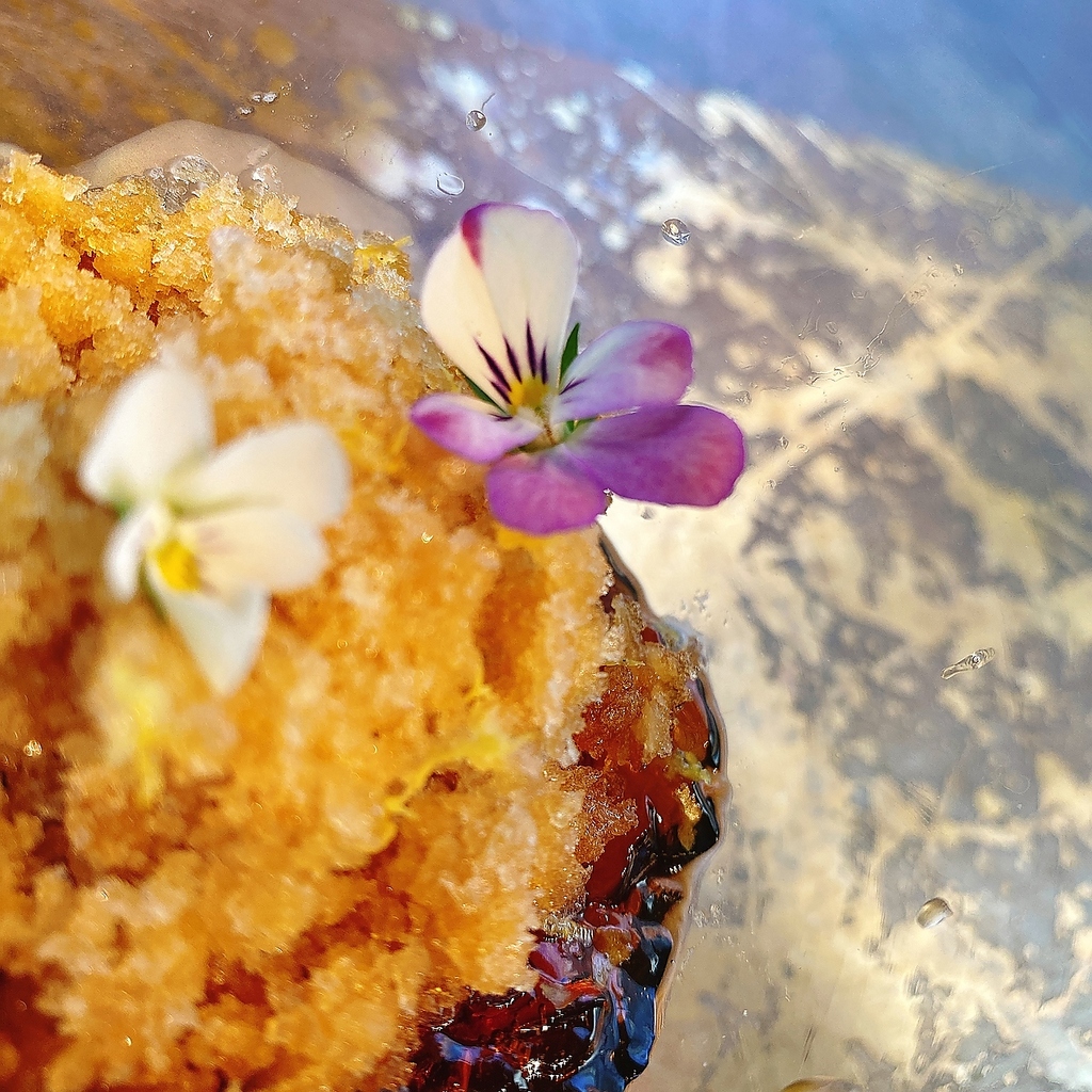 Lasymetrie アシメトリィの写真ギャラリー