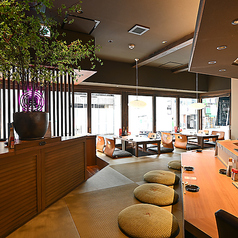 柏のパリパリの特集写真