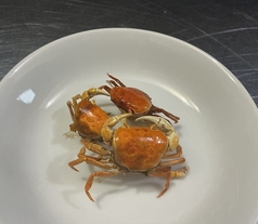 沢がにの素揚げ