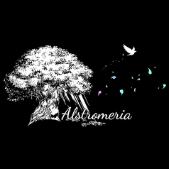 Bar Alstromeria バーアルストロメリアの特集写真