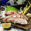 料理メニュー写真 鹿児島県産赤鶏のタタキ
