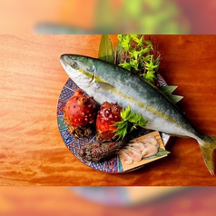 職人の目利きで厳選【旬の食材を使用したお料理】