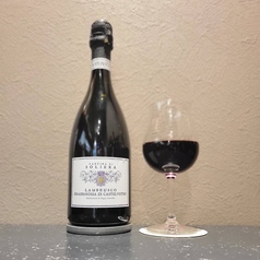 ランブルスコ・グラスパロッサ・ディ・カステルヴェトロ＜ボトル＞