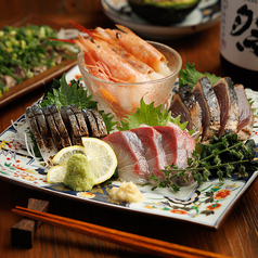 鮮や魚吟 新横浜本店の特集写真