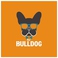 Bar BULLDOG バー ブルドッグの画像
