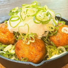 アゲタコ(ネギポン)