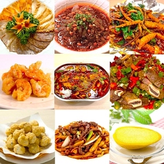 本格四川料理 麻辣大学 上野本店のコース写真