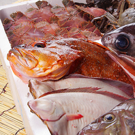 鮮度抜群な魚介類、毎日大量入荷中。
