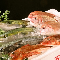 朝獲れ鮮魚使用！鮮度抜群の魚料理をご堪能あれ！