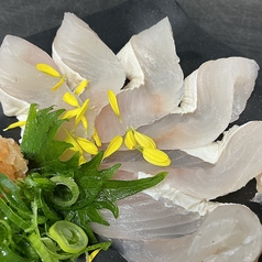 駅前漁港 中野店のコース写真