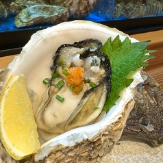 藤咲きのコース写真