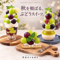 アクアリウムダイニング　サカナノセカイ　小倉店のおすすめポイント1