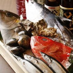 旬な鮮魚や期間限定の定食もあります♪