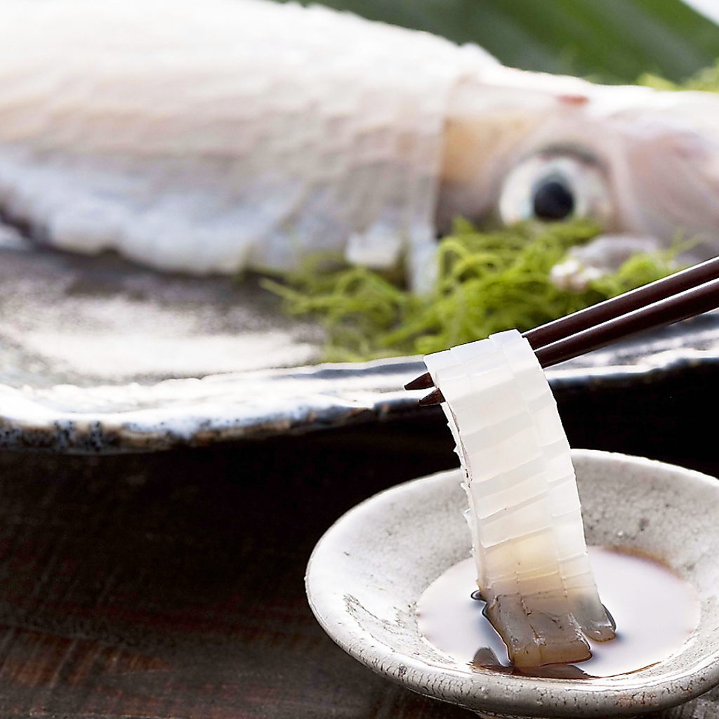二度美味しい!!『イカの姿造り』は漁港直送で鮮度抜群◎!!