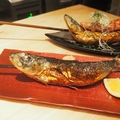 料理メニュー写真&nbsp;大とろいわし