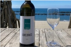 カーブドッチミリュブラン