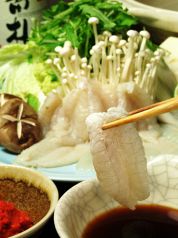 すし 魚游 横浜西口鶴屋町店の特集写真