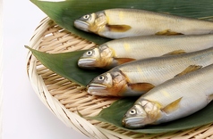 子持ち鮎