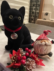 北新地 黒猫のコース写真