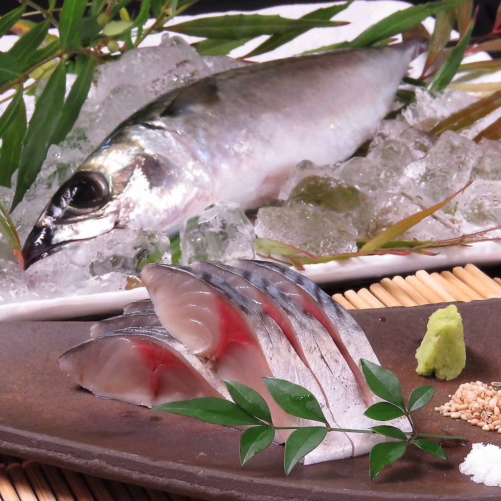 もつ鍋 居酒屋 博多駅 博多 飲み放題 鍋 魚 送別会 歓迎会 馬刺し 呼子イカ 五島サバ