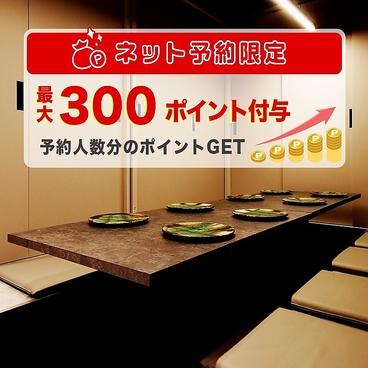 コモレビ　個室で味わう肴と日本酒の雰囲気1