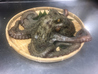 さかな酒場 魚星 兵庫南口店のおすすめポイント2