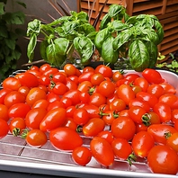 新鮮・安心な食材を★自家菜園で育てる野菜も使用！