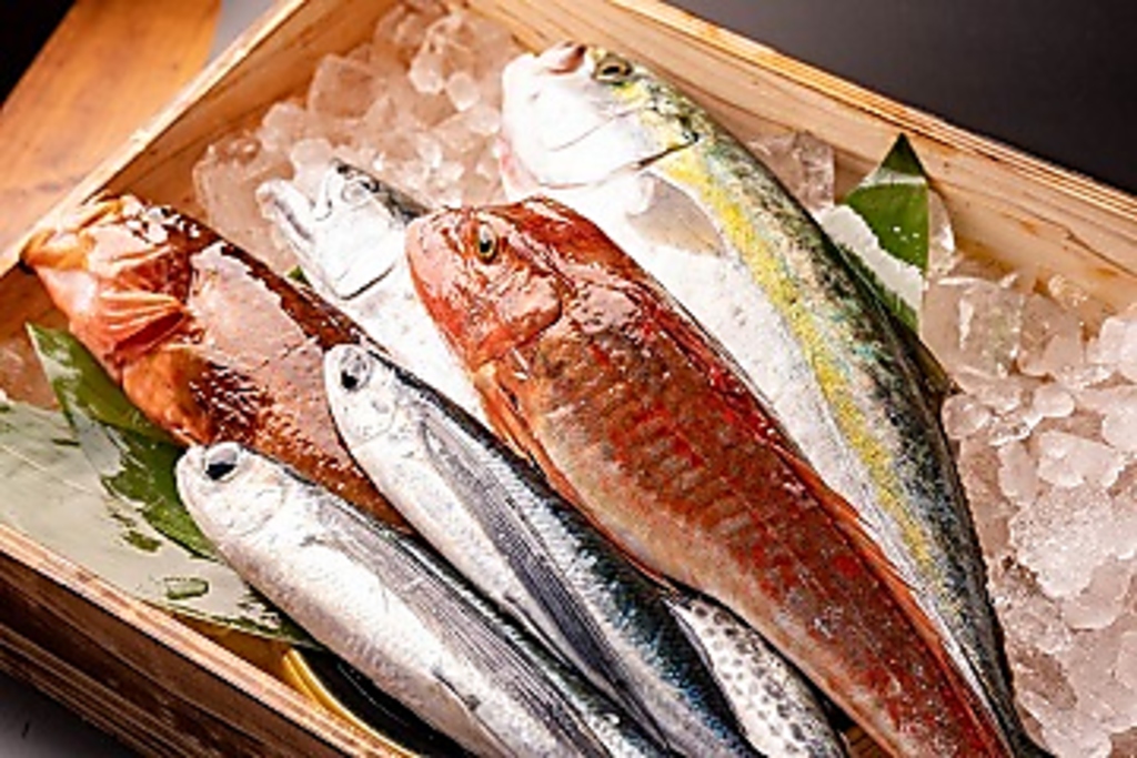 妻鹿漁港直送の鮮度抜群の鮮魚をご用意しております。季節ごとのお刺身盛り合わせをご堪能下さい。