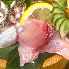 イサキお造り