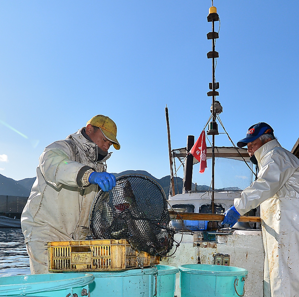 魚は漁師のひと手間により鮮度を維持。
