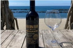 タヴェルネッロオルガニコベッロ サンジョヴェーゼ