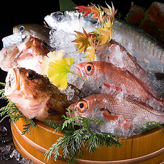 全席個室完備 創作旬彩居酒屋 匠 武蔵小杉店のおすすめ料理3